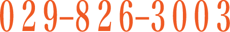 029-826-3003